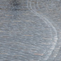 DSC_8306.jpg